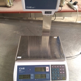 scale CAS ER plus 